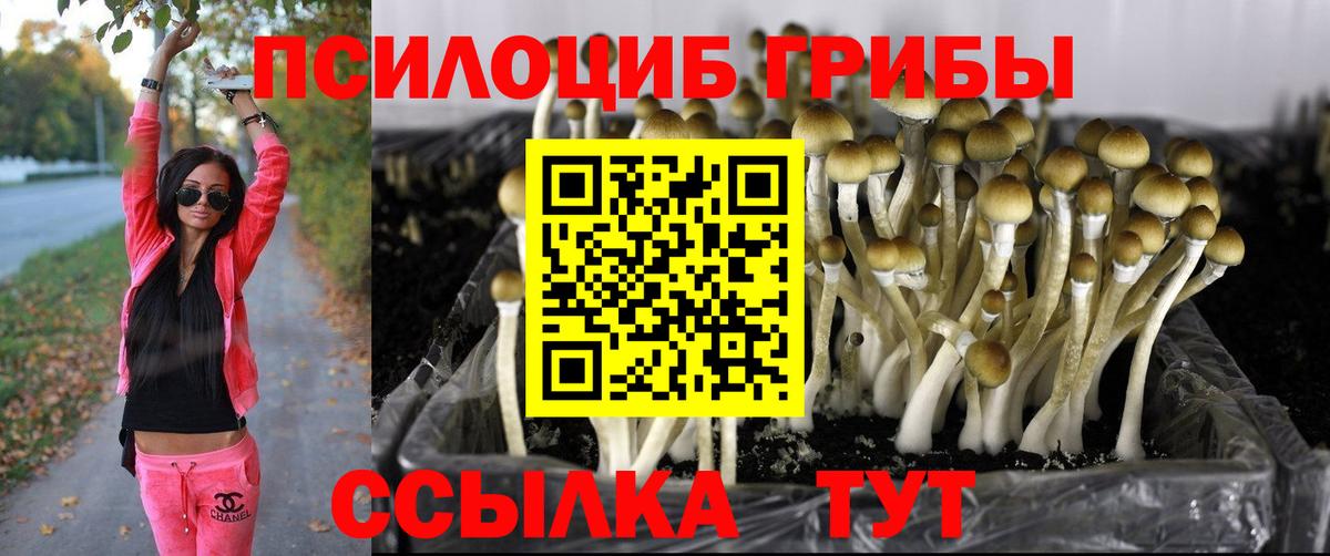 Галлюциногенные грибы ЛСД Кондопога